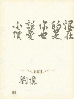 小说你的恨很廉价爱也是在线阅读