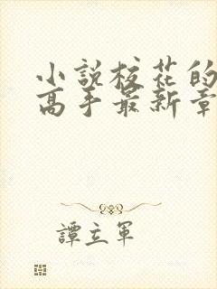 小说校花的贴身高手最新章节列表免费