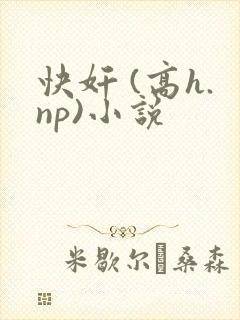 快奸 (高h.np)小说