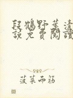 段鹤野叶清璃小说免费阅读最新章节封面