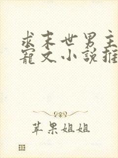 求末世男主重生宠文小说推荐封面