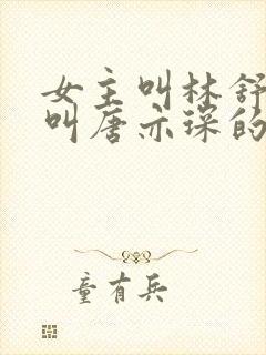 女主叫林舒男主叫唐亦琛的小说封面