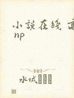 小说在线 高h np