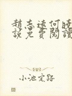 赵志远何晓雨小说免费阅读最新章节封面