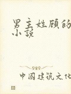 男主姓顾的总裁小说