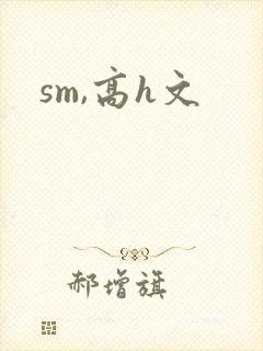 sm,高h文