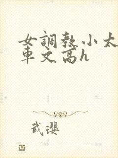 女调教小太正肉车文高h
