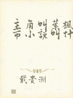 主角叫叶枫的都市小说叫什么