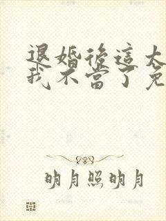 退婚后这太子妃我不当了免费阅读封面