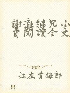 谢澈继兄小说免费阅读全文无弹窗封面