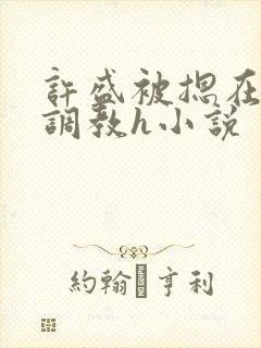 许盛被摁在床下调教h小说