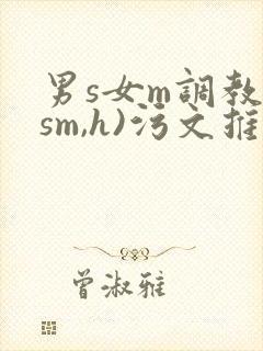 男s女m调教(sm,h)污文推荐