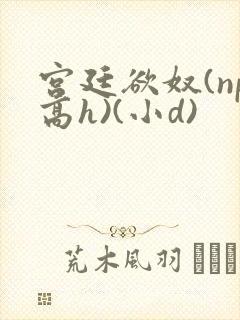 宫廷欲奴(np高h)(小d)