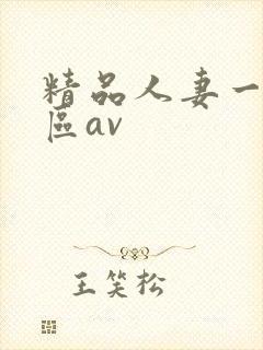 精品人妻一区二区av