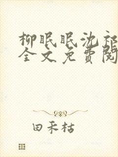 柳眠眠沈祁小说全文免费阅读