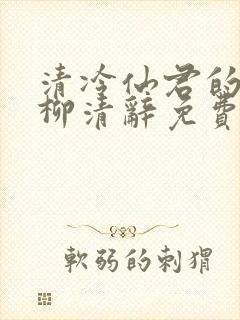 清冷仙君的堕落柳清辞免费阅读封面