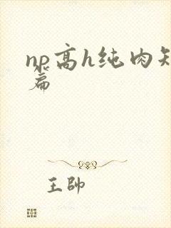 np高h纯肉短篇