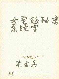 女警的秘密小说叶晓雪