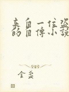 来自一位盗墓者的自传小说