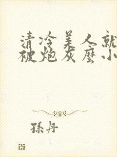 清冷美人就活该被炮灰么小说