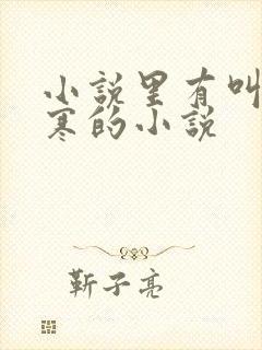 小说里有叫萧墨寒的小说