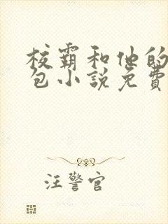 校霸和他的小哭包小说免费阅读封面