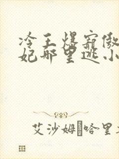 冷王爆宠傲娇王妃哪里逃小说