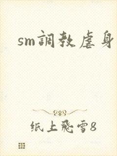 sm调教虐身文