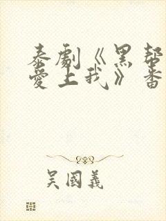 泰剧《黑帮少爷爱上我》番外