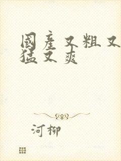 国产又粗又黄又猛又爽