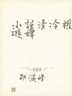 小说清冷权臣的逃婢