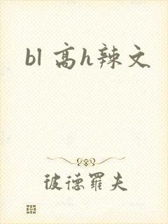 bl 高h辣文