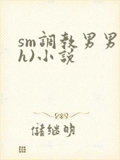 sm调教男男(h)小说