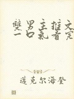 双男主推文小说一口气看完封面