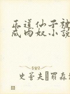 正道仙子被调教成肉奴小说