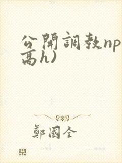 公开调教np(高h)