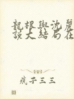 龙根与沈丽娟小说大结局在线阅读