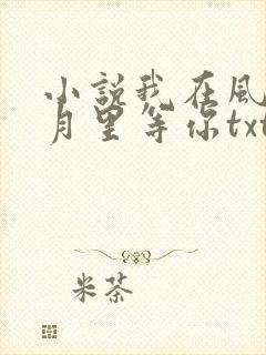 小说我在风花雪月里等你txt下载