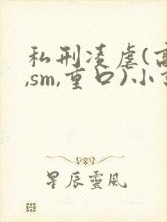 私刑凌虐(高h,sm,重口)小说