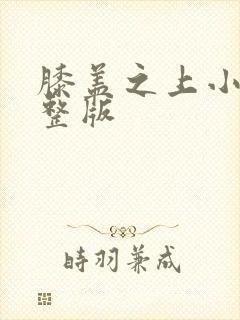 膝盖之上小说完整版