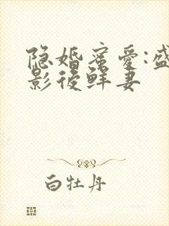 隐婚蜜爱:盛宠影后鲜妻