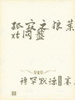 孤寂之狼叶凡txt网盘封面