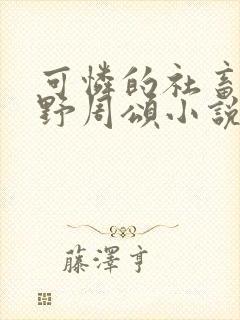 可怜的社畜 商野周颂小说