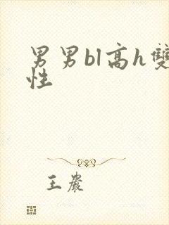 男男bl高h双性封面