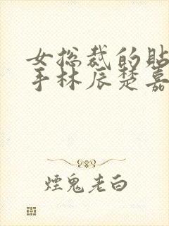 女总裁的贴身高手林辰楚嘉雪笔趣阁