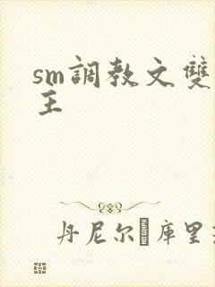 sm调教文双男主