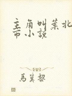 主角叫叶北的都市小说