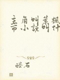 主角叫叶枫的都市小说叫什么