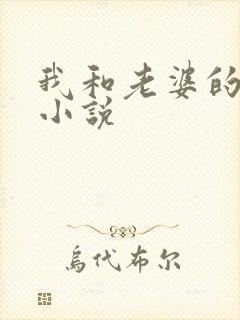 我和老婆的遭遇小说