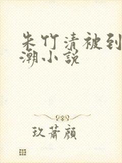 朱竹清被到爽高潮小说